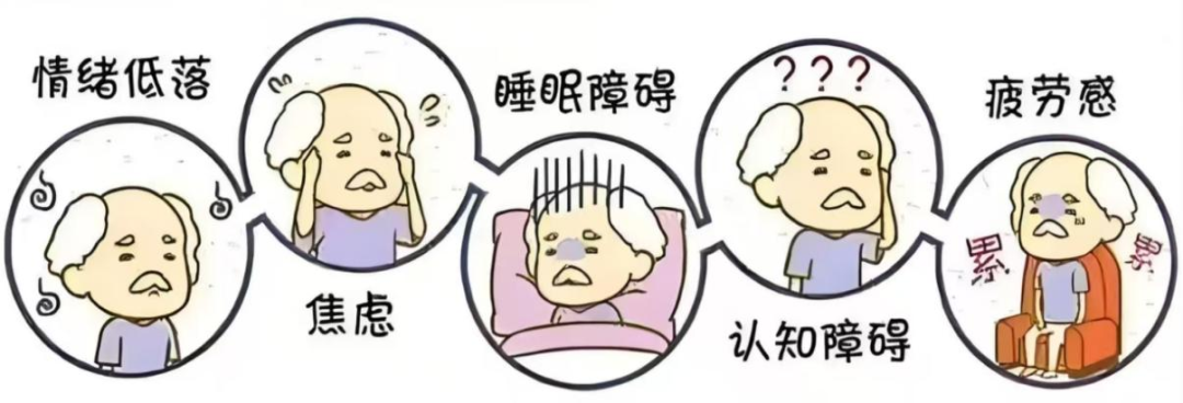 ����ɭ����������