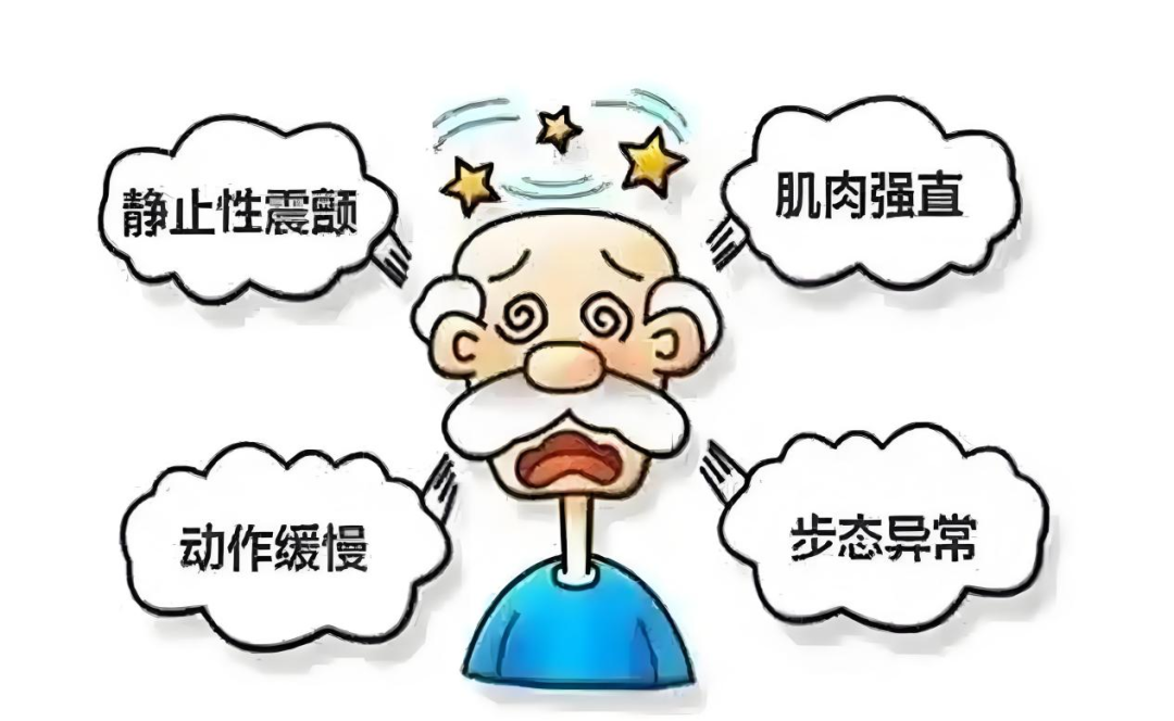 ����ɭ����������