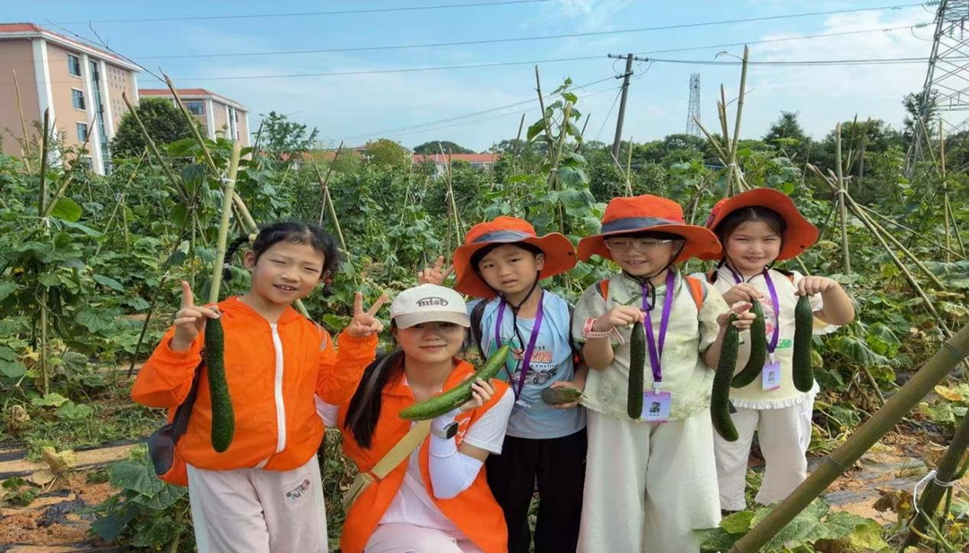 ��ҽ·���� �밮ͬ�С�������ɳ�е�����ḣ��Ժ2026�������һ���������ʵ���Բ����Ļ