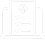 񼲲֪ʶ